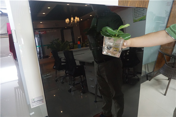 漆強(qiáng)家具漆光彩照人，記者看了都說(shuō)好 (2).JPG