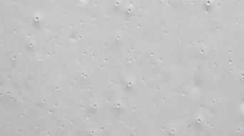 家具漆、木器漆、針孔