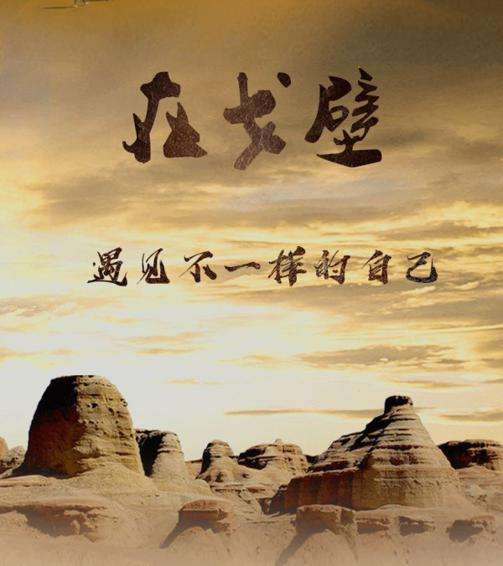 timg (1).jpg timg (1).jpg